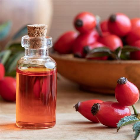 Rosehip Oil For Acne Scars & How To Use – Kicker