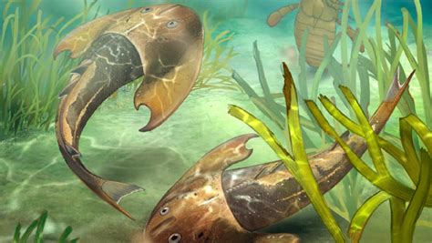 Silurian Jawless Fish Possessed Paired Fins, New Fossils Present | The ...