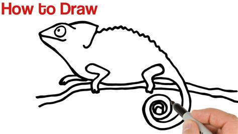 How to Draw Chameleon | Art tutorial | Animals Drawing for beginners ...