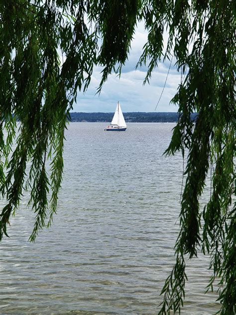 Seneca Lake State Park Photograph by Matthew Conheady