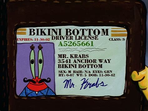 Mr. Krabs' driver's license | Encyclopedia SpongeBobia | Fandom