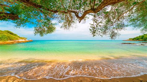 Tropical Sand Beach Lagoon Coastline Sea Waves Turquoise Water Trees ...