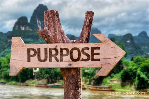 3 ways to get closer to finding your life’s purpose by treating it as a ...