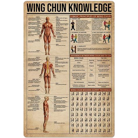 Buy JIUFOTK Kung Fu Knowledge Metal Tin Sign Wing Chun Anatomy ...