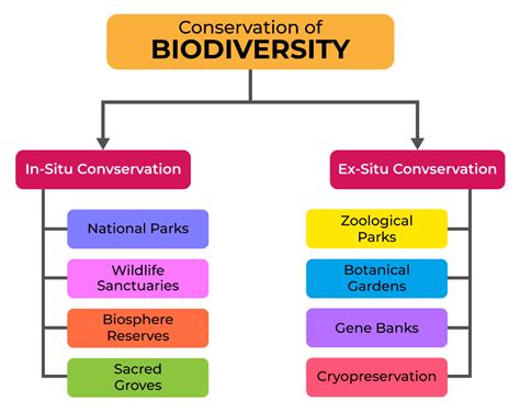 In-Situ And Ex-Situ Conservation Of Biodiversity, 41% OFF