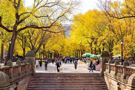 12+ Epic Spots to See Fall Foliage in Central Park - New York Simply