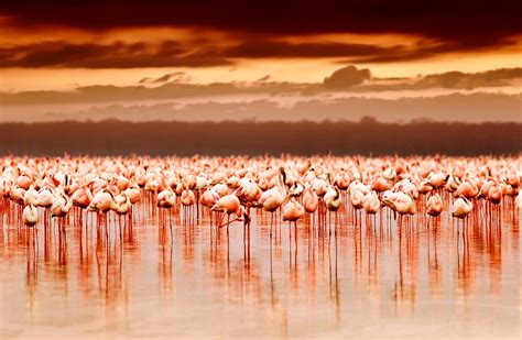 Lake Nakuru National Park