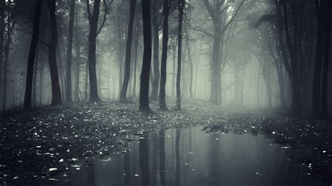 Creepy Forest Wallpapers - Top Free Creepy Forest Backgrounds ...