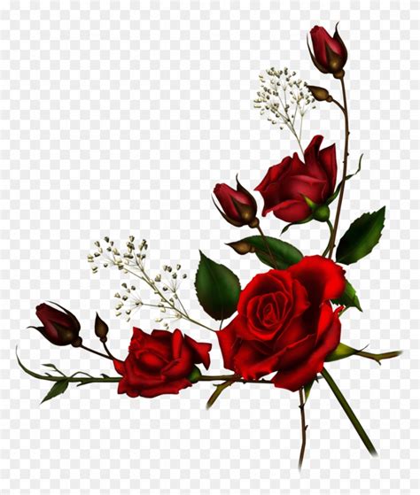 Rose Vine Borders - Roses Corner Border Png - Free Transparent PNG ...