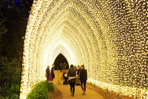 Floriade NightFest kicks off in Canberra, with 100,000 lights ...