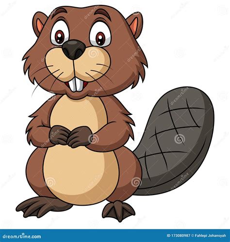 Cartoon Happy Beaver On White Background | CartoonDealer.com #173080987