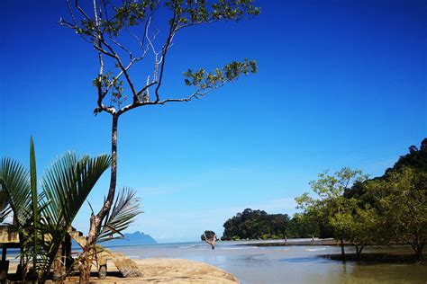 Bako National Park Day Trip Blog: Damn, it's a good day!