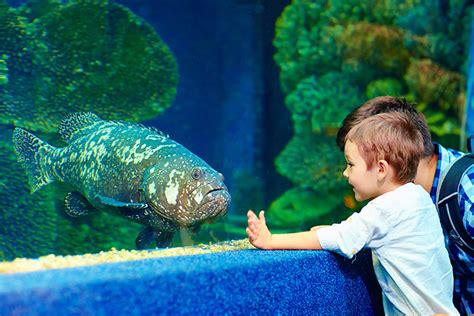 Aquariums near me - Find the Best Local Aquariums