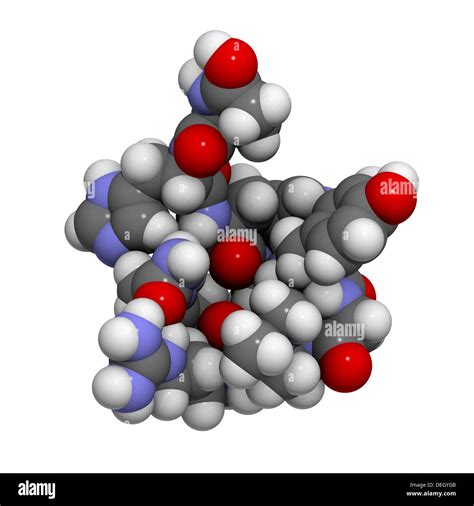 Gonadotropin-releasing hormone (GnRH, Luteinizing-hormone-releasing ...