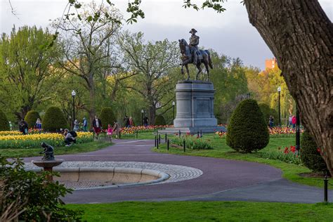 Boston Public Garden: 5 Things to See and Do - Carltonaut's Travel Tips