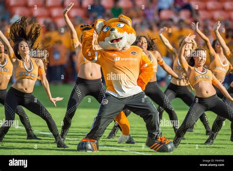 Houston, Texas, USA. 18th Oct, 2015. Houston Dynamo mascot Diesel ...