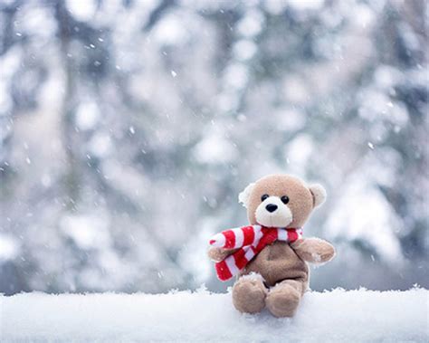 trauriger teddybär hd wallpaper,plüschtier,schnee,winter,teddybär ...