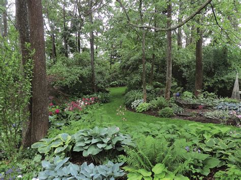 A Woodland Garden Design - Fine Gardening