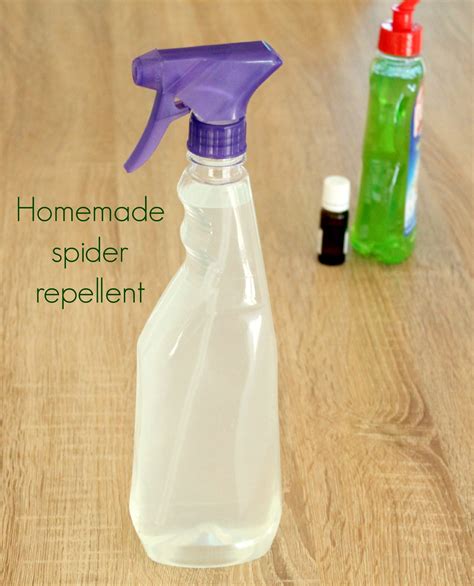 Homemade spider repellent - The Seaman Mom