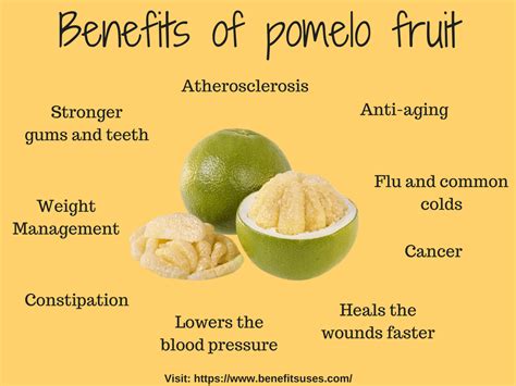 Pomelo Benefit - Tere Fruit