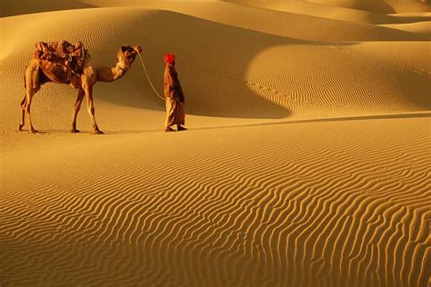 Rajasthan Camel Safari Tour | Rajasthan Tour Package