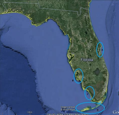 9. Coastal Systems with high juvenile Atlantic Tarpon abundance and ...