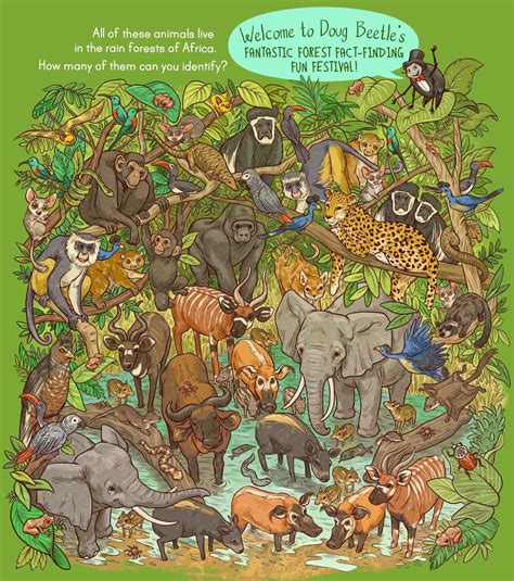 African Rainforest Animals For Kids