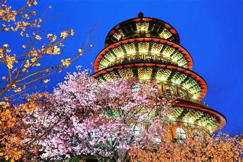 The Best Places to See Cherry Blossoms in Taiwan