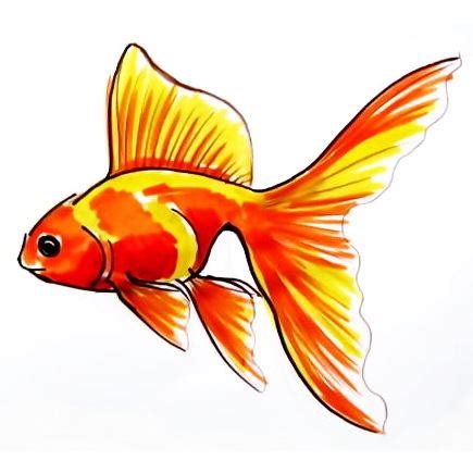 Fish Drawing Outline, Fish Drawing For Kids, Fish Drawings, Art ...