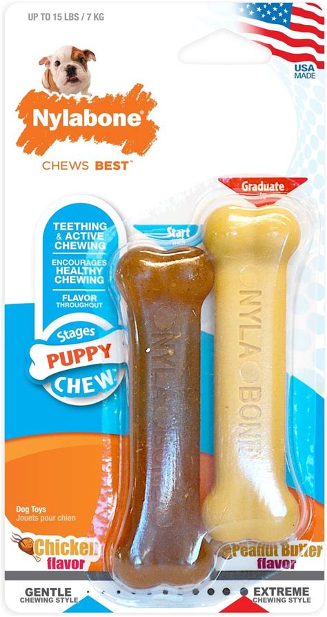 Nylabone Petite Twin Pack Puppy Chew Toy - Chewy.com