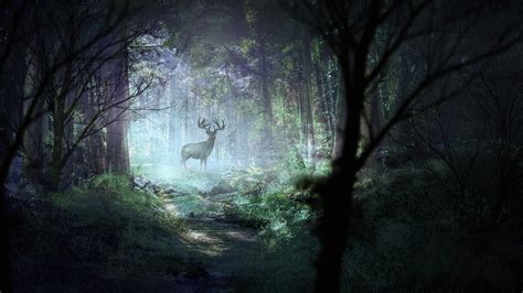 Deer in Forest Wallpapers - Top Free Deer in Forest Backgrounds ...