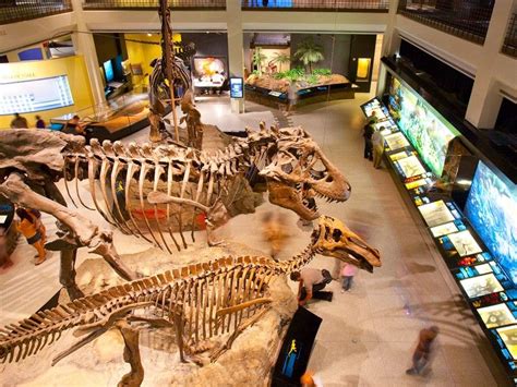 A dinosaur lover's dream: Inside the Houston Museum of Natural Science ...