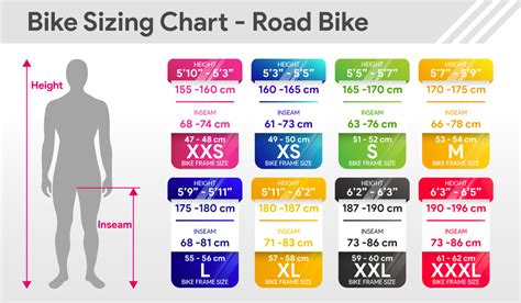 The Ultimate Guide to Choosing Bike Frame Size - Minimotors SG