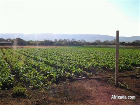 26 Hectare Plot for sale in Hekpoort | Land / Plots for sale in North ...