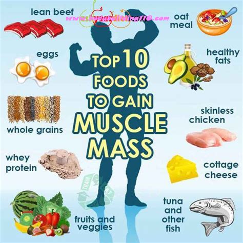 how to gain muscle diet Muscle foods mass gain healthy fitness tips ...