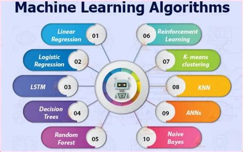 What are Machine Learning Algorithms? - DevTeam.Space