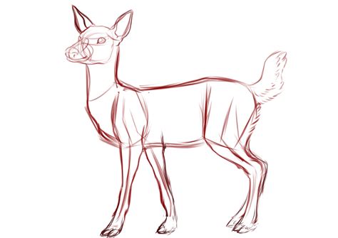 deer drawing Deer Drawing, Painting & Drawing, Anatomy Practice ...