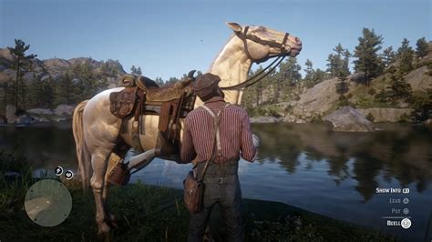 Red Dead Redemption 2: All Horse Breeds And Available Coats, As Well As ...