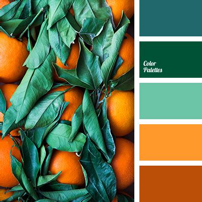 color of orange leaves | Color Palette Ideas