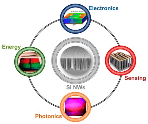 Schematic showing the main application fields of silicon nanowire from ...