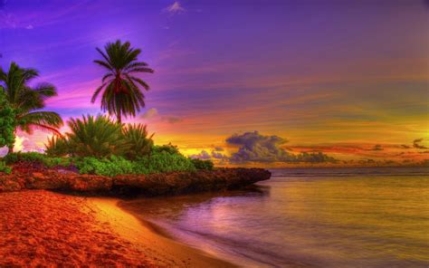 Tropical Beach HD Wallpaper - WallpaperSafari