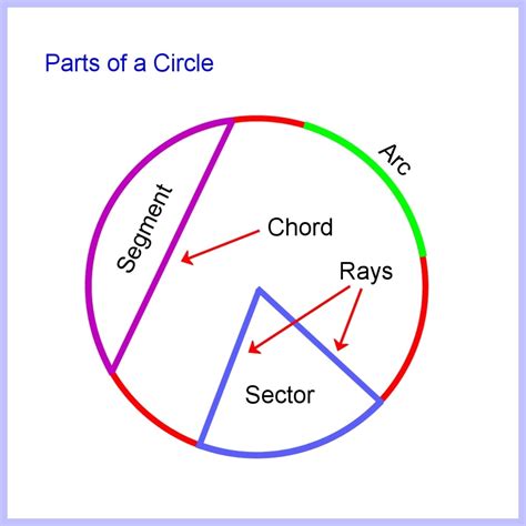 26+ Segment Calculator Circle - JohnsonKaevagh