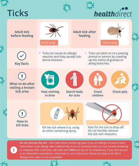 Parasites In Humans Symptoms Remedies