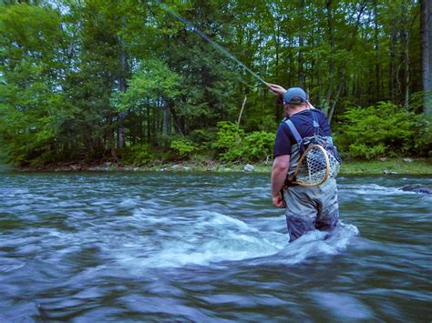 Pennsylvania Fly Fishing and Hatch Report: Penns Creek & Spring Creek ...