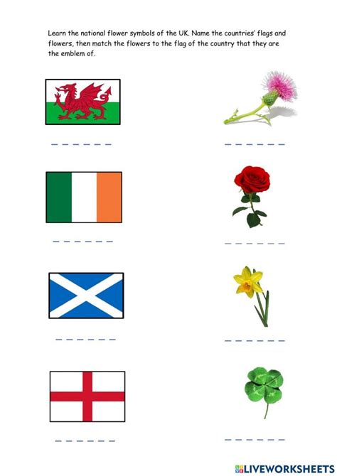 National flower symbols worksheet | Flower symbol, Symbols, School subjects