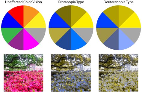 What is Colblindor? | IrisTech