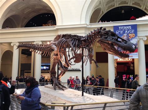 Sue the Trex, the most complete trex skeleton ever discovered. Chicago ...