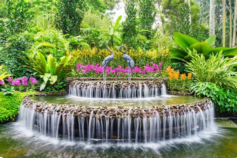 National Orchid Garden | Holland Village, Dempsey Hill & the Botanic ...