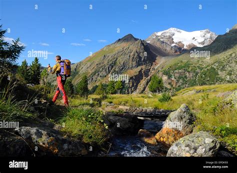 Stelvio national Park, Trekking Stock Photo - Alamy