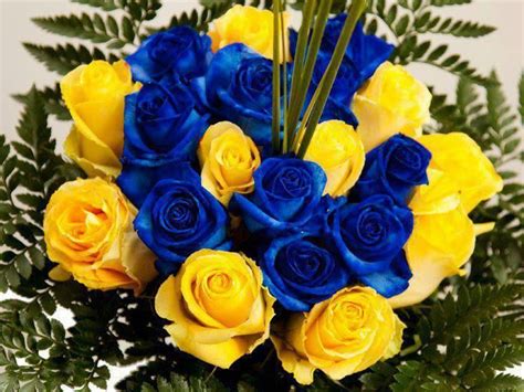 Yellow & Blue Roses | Blue flower arrangements, Royal blue flowers ...